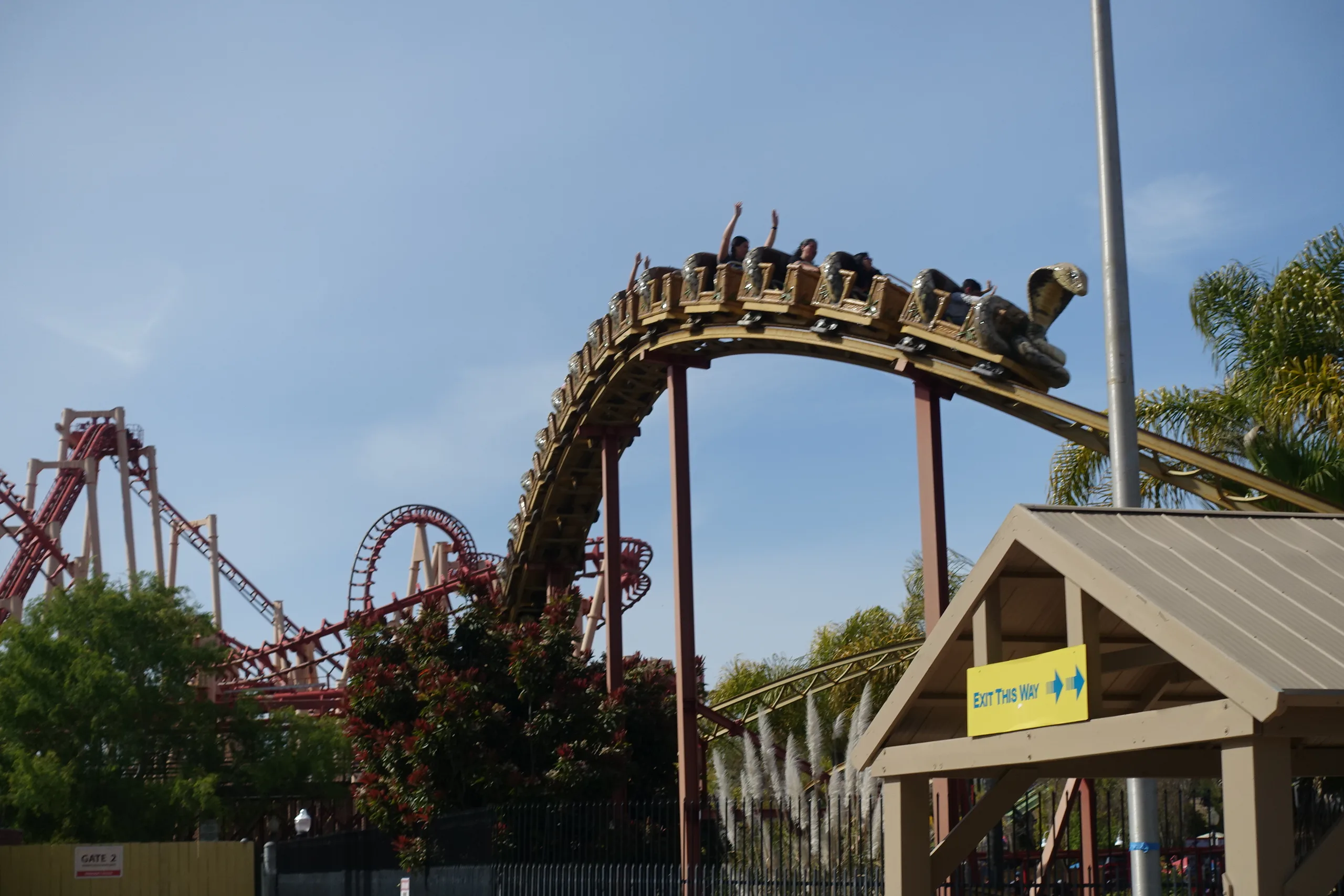 Cobra