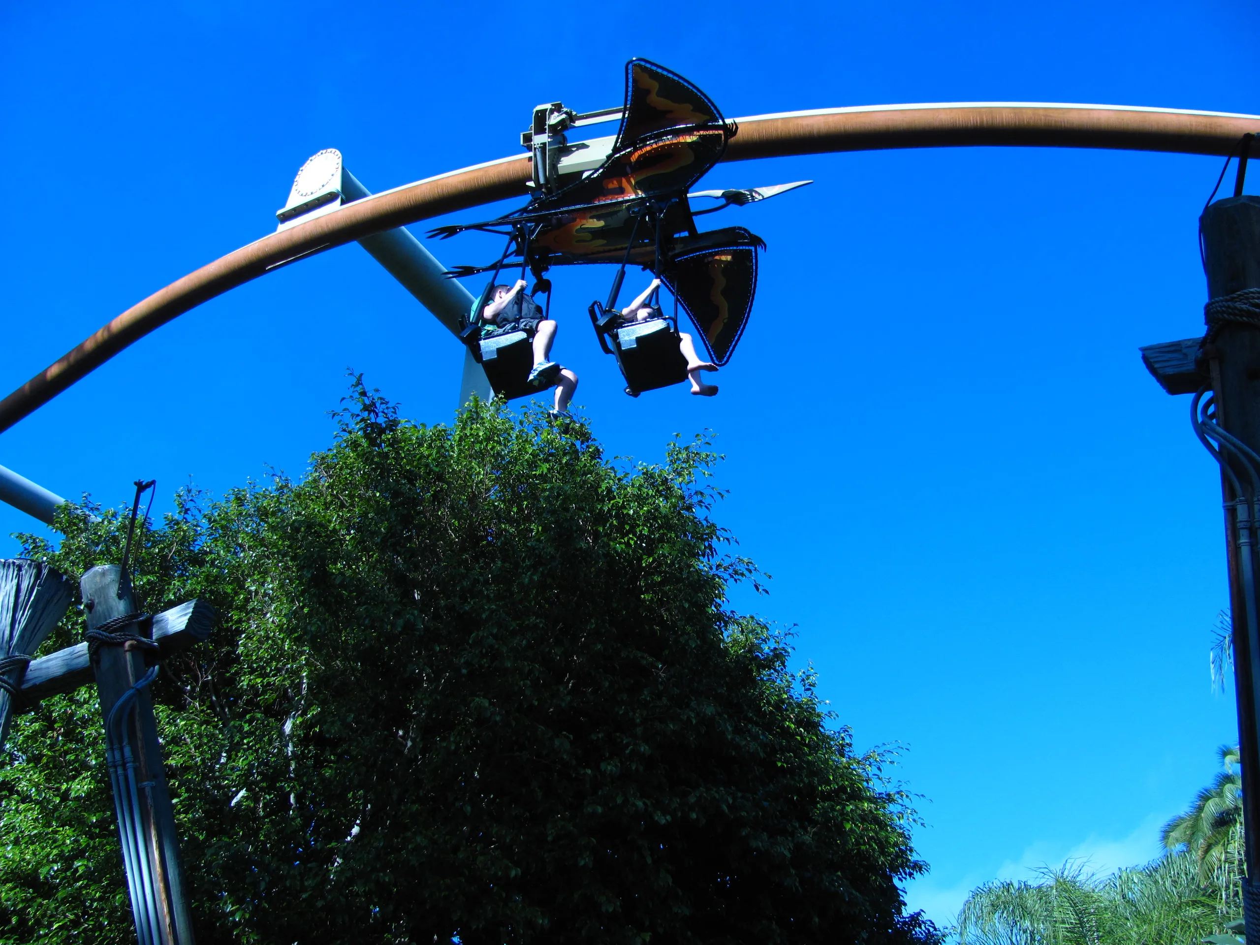 Pteranodon Flyers