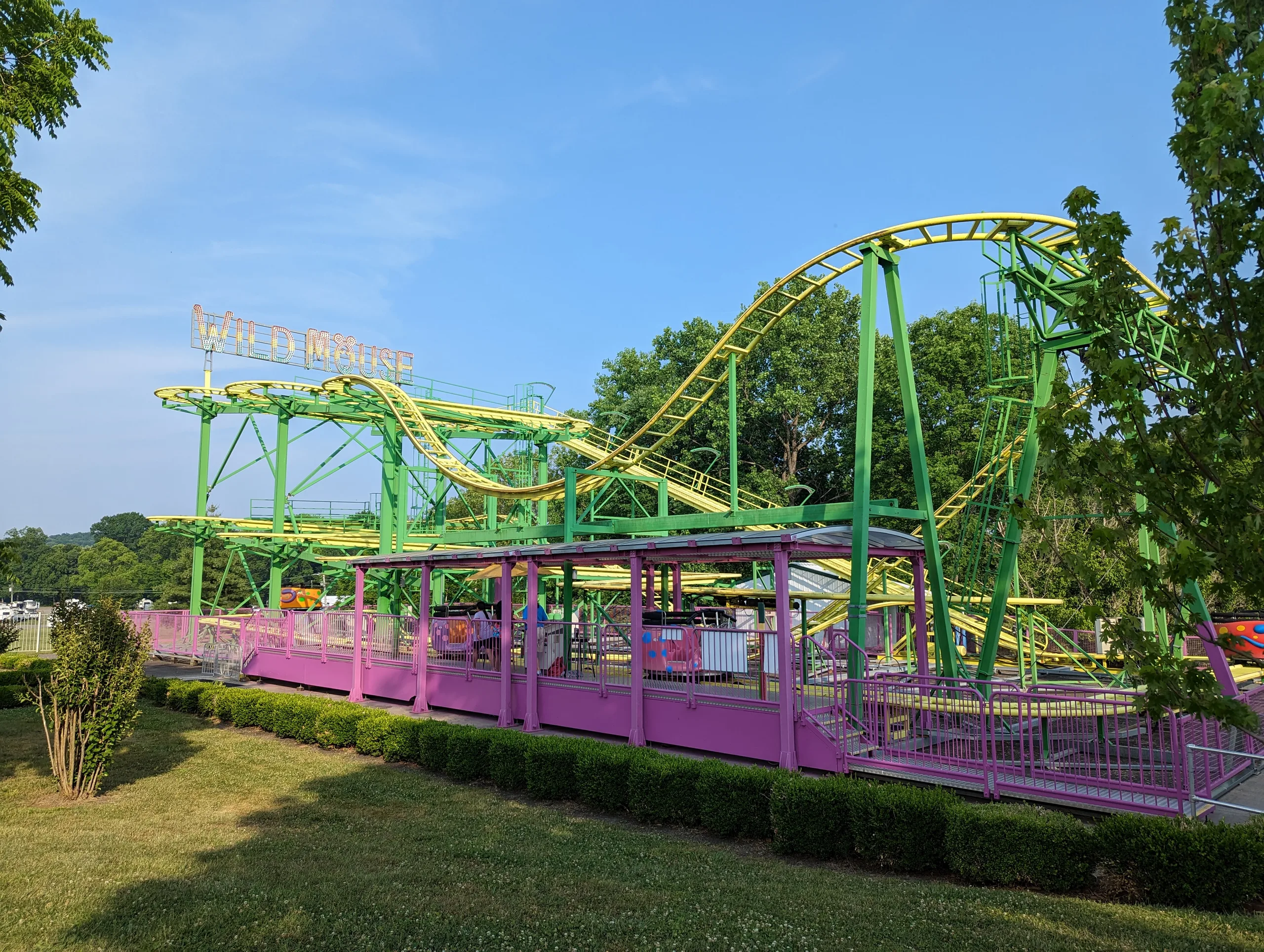 Wild Mouse
