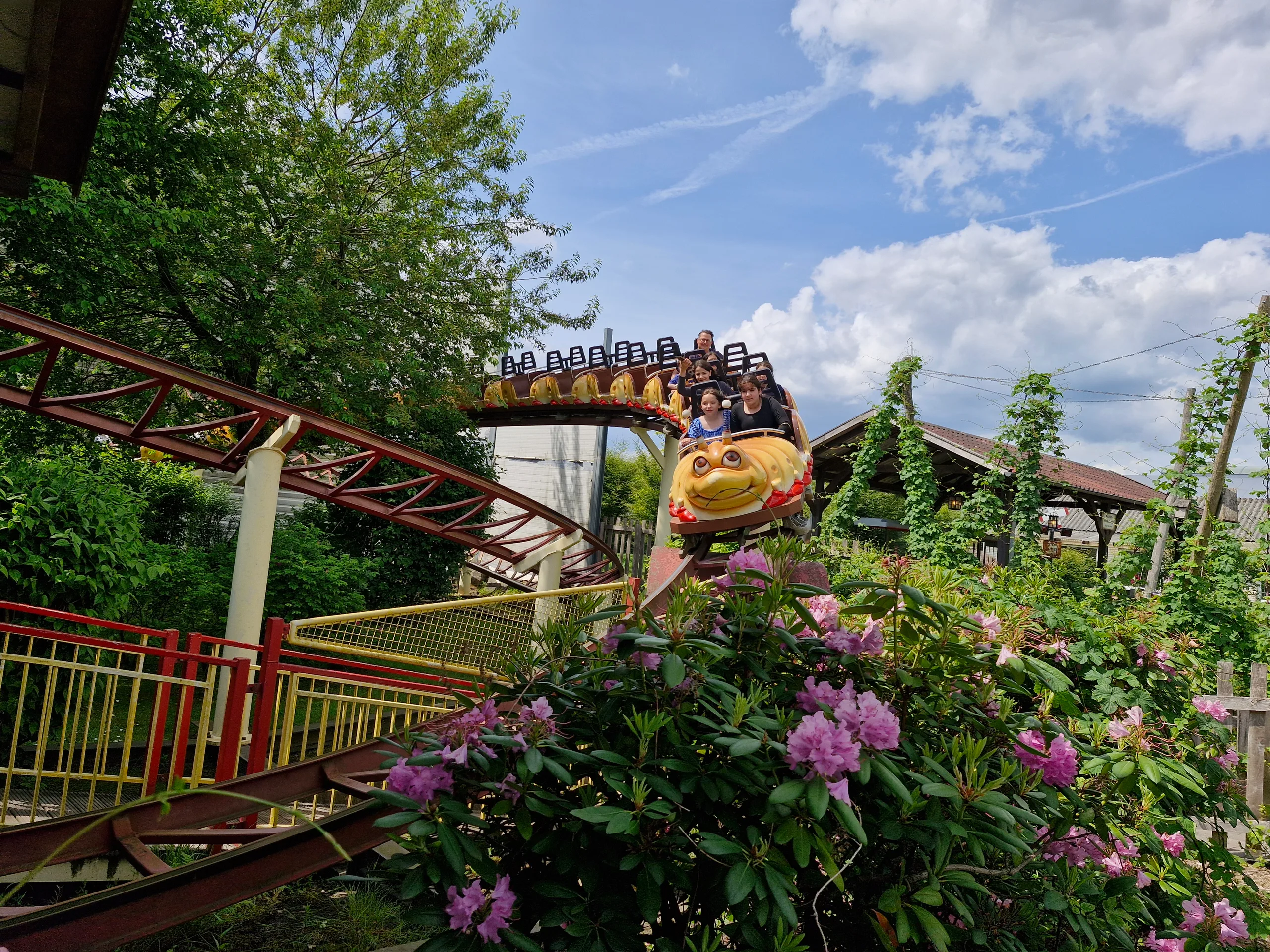 Holzwurm-Achterbahn