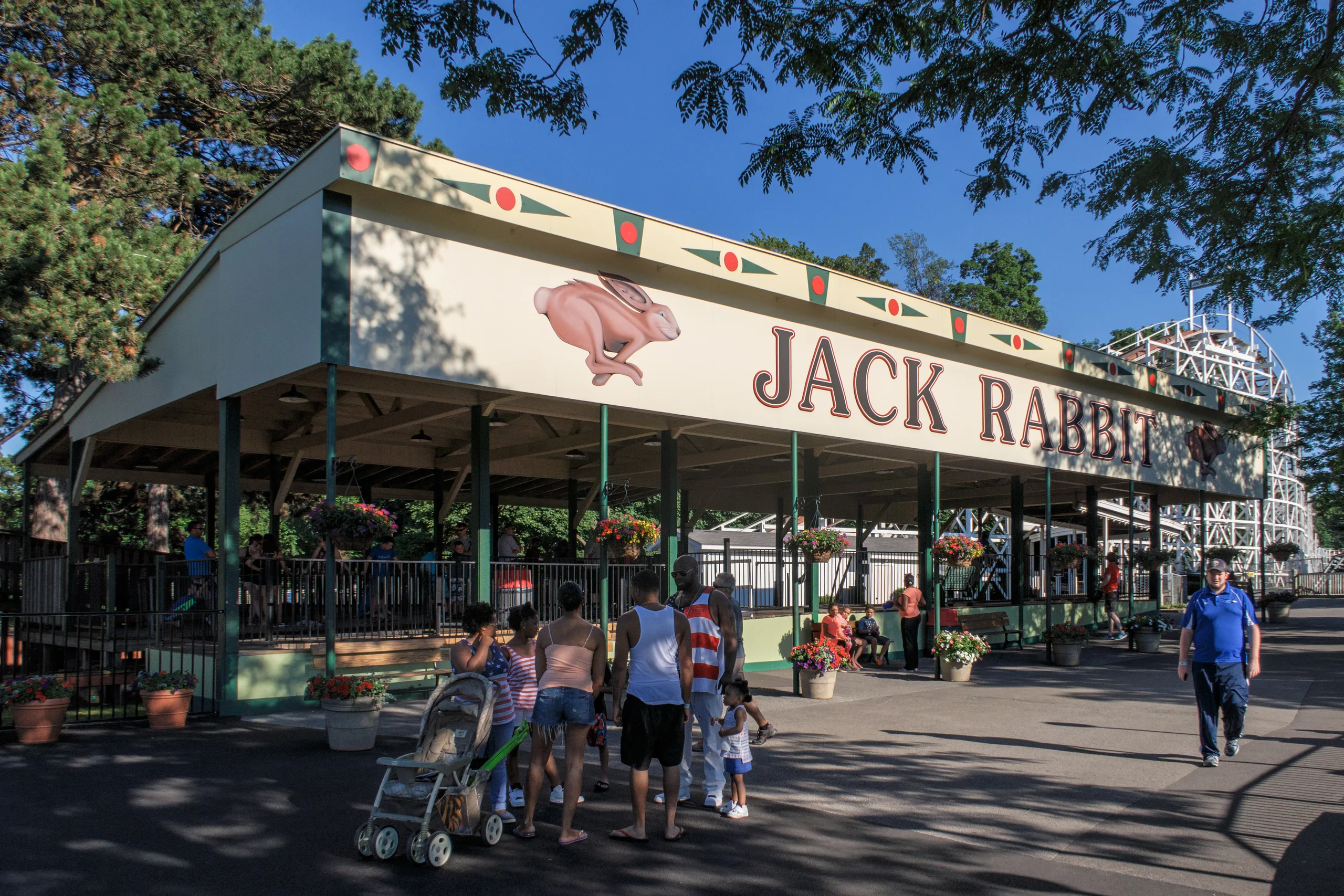 Jack Rabbit