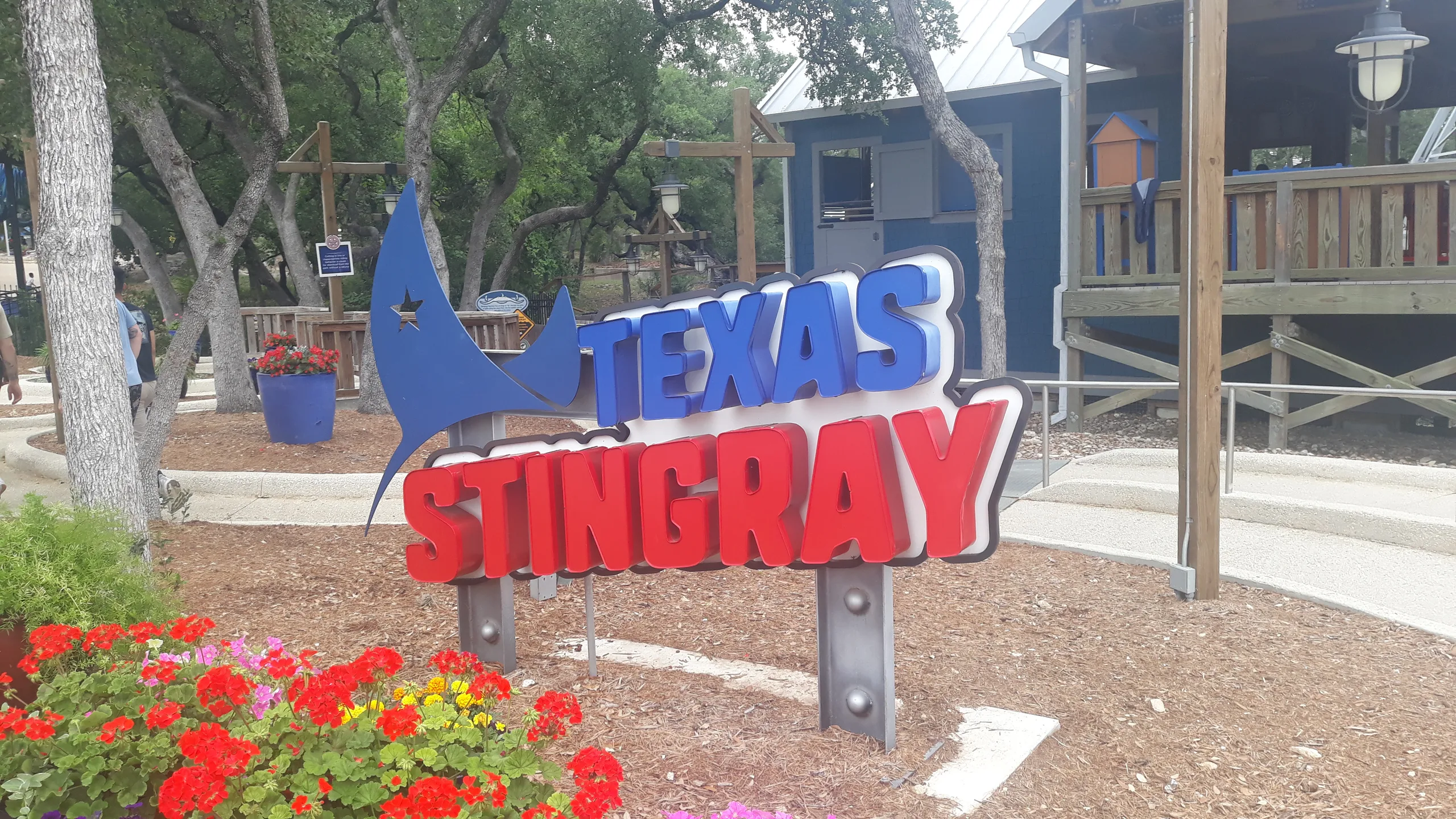 Texas Stingray