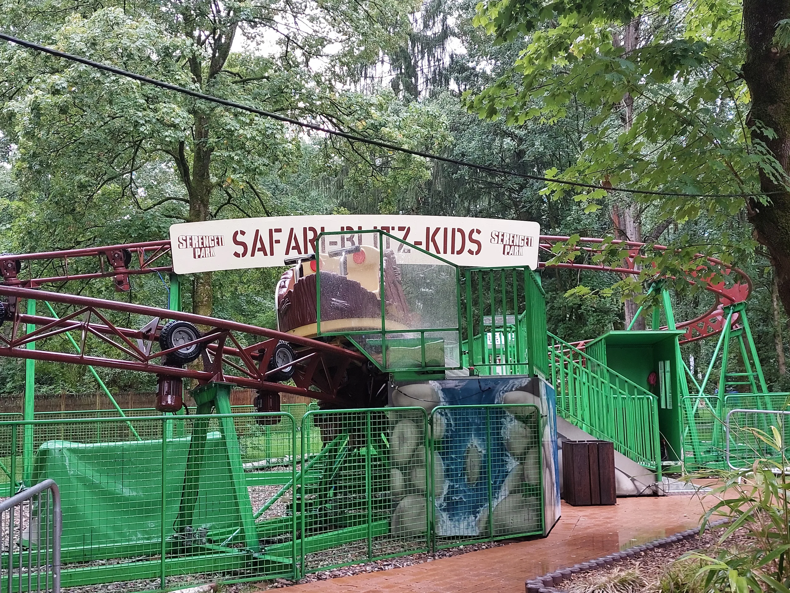 Safari-Blitz-Kids
