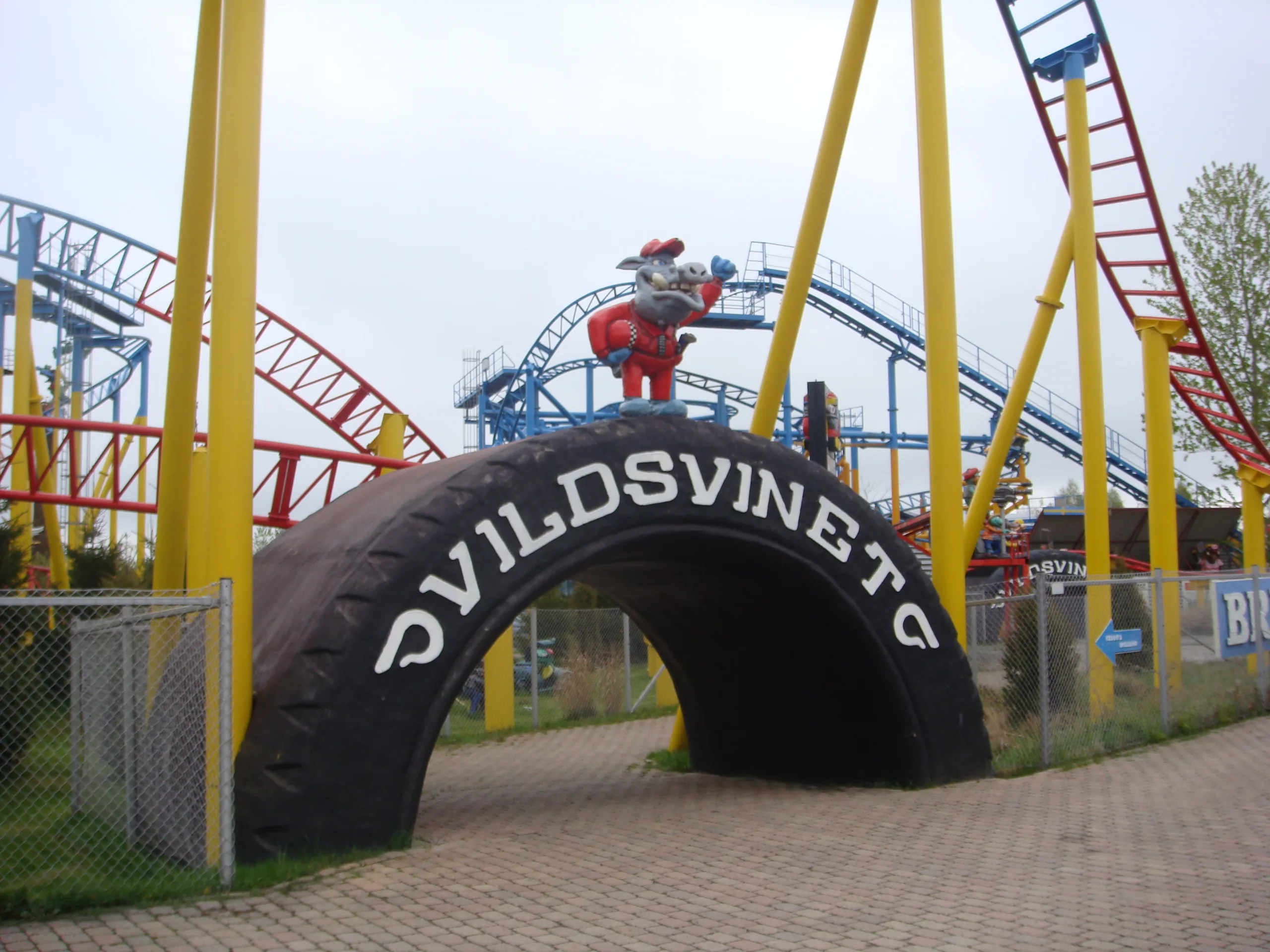 Vild-Svine