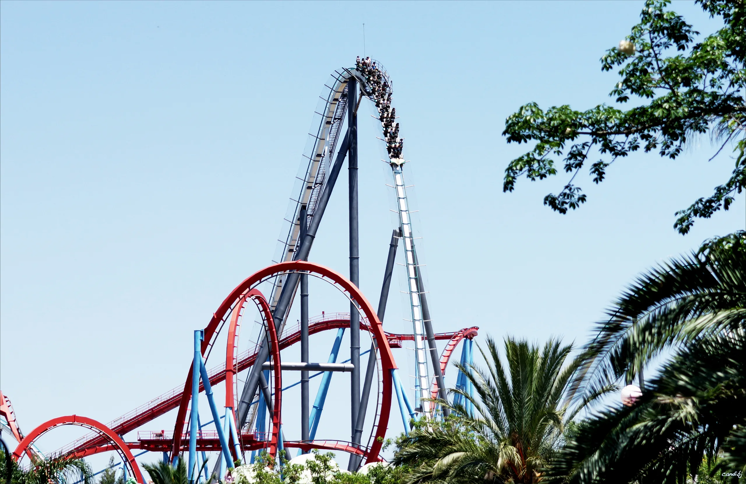 Shambhala