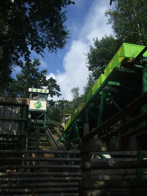 Green Dragon