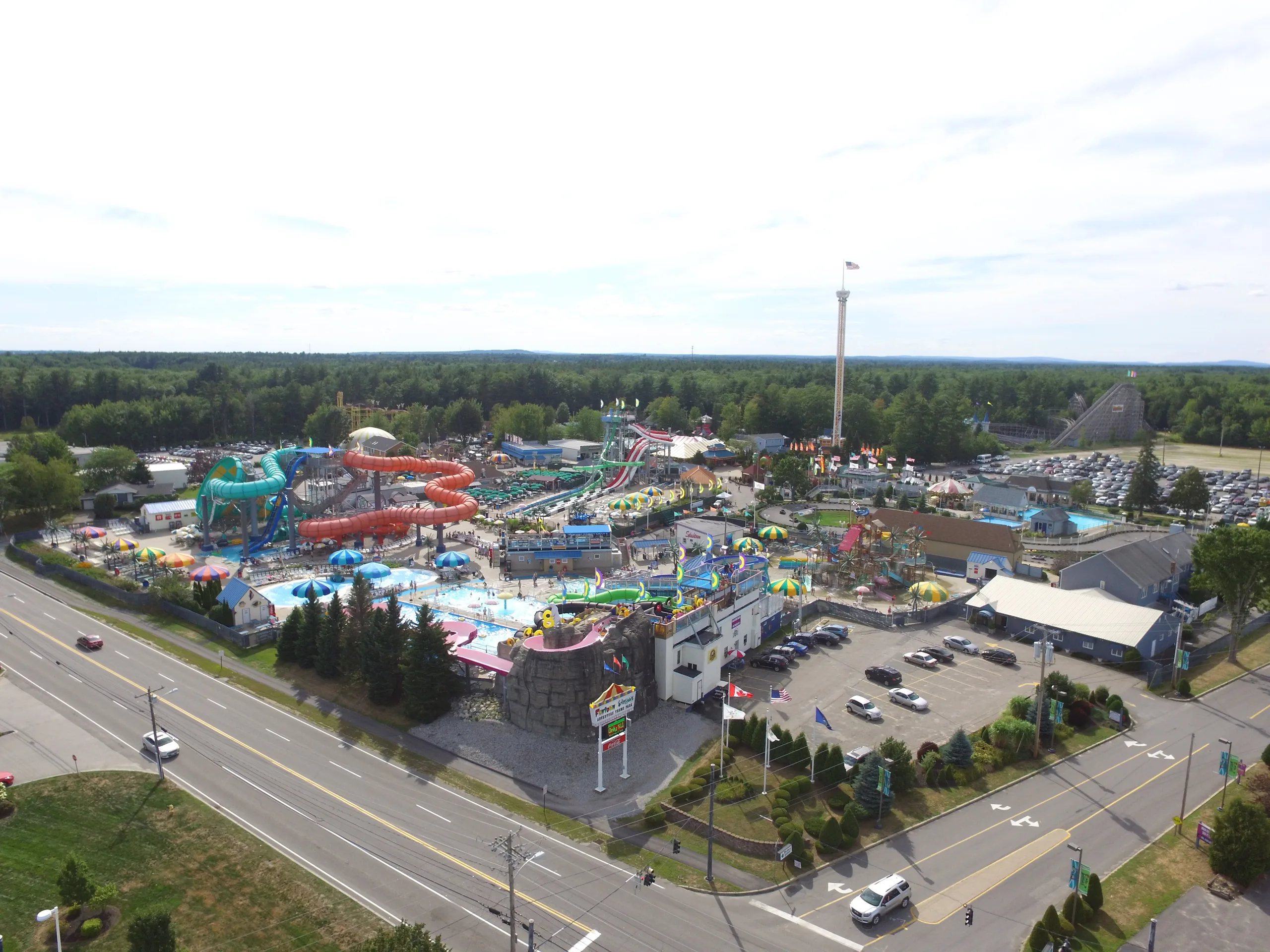 Wild Mouse