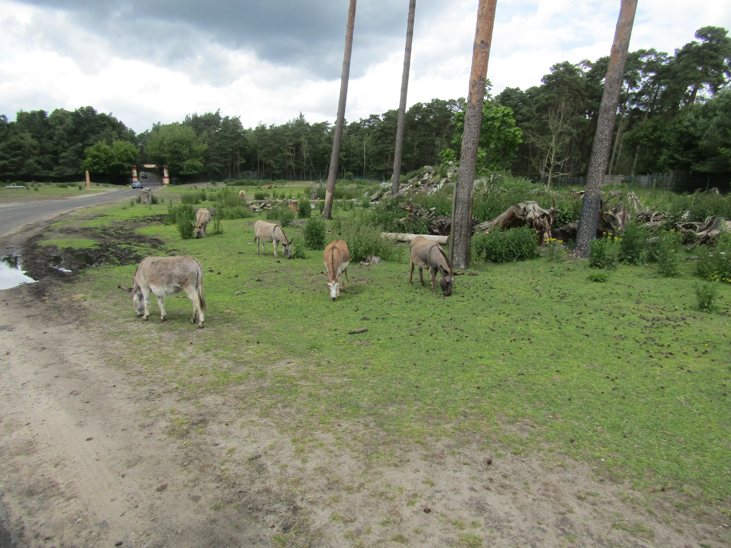 Serengeti-Park